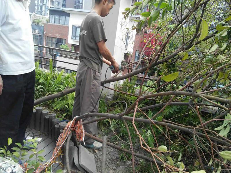 屋頂花園怎么裝修，樓頂花園裝修注意事