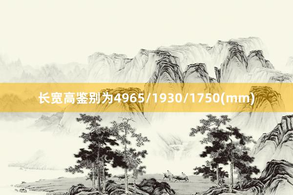 长宽高鉴别为4965/1930/1750(mm)